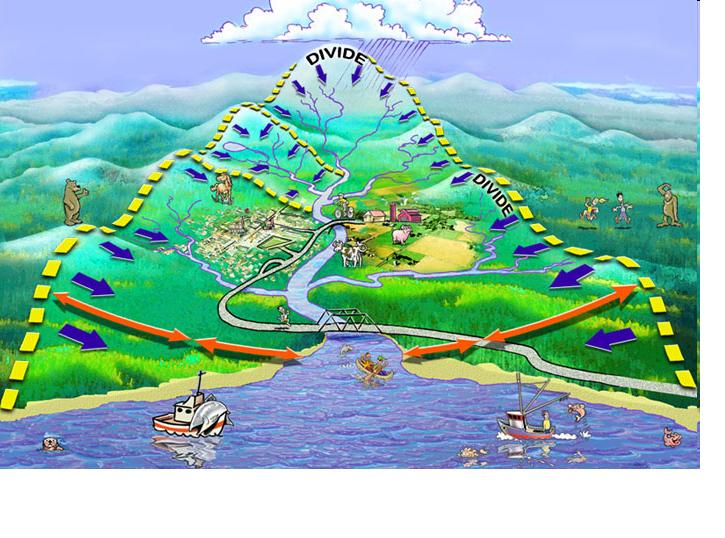 Department of Irrigation and Drainage